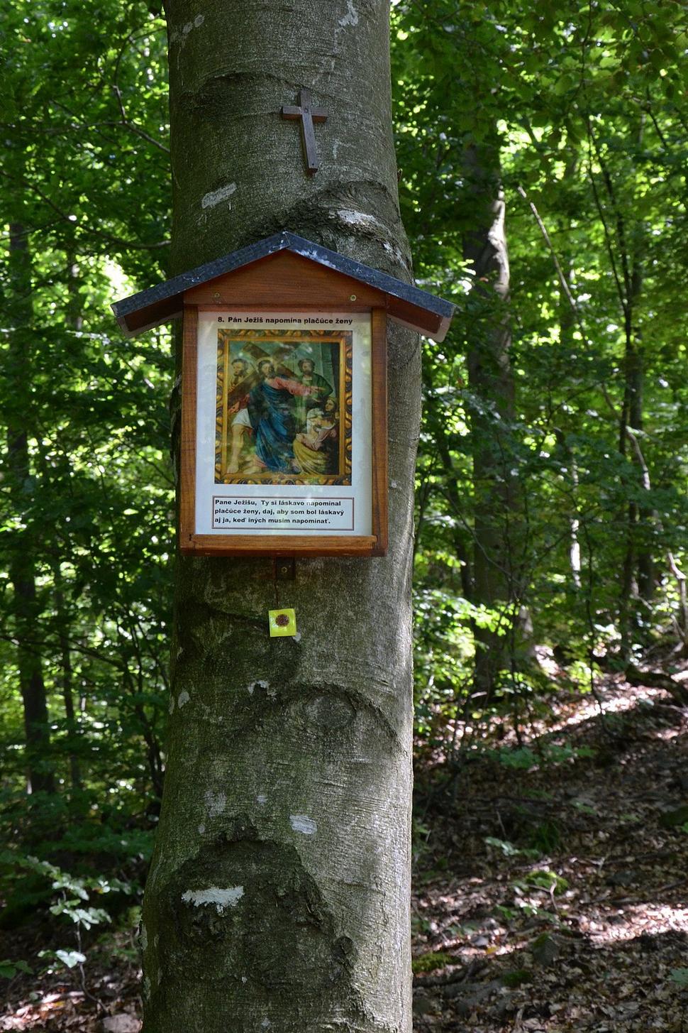 Obrázok blogu