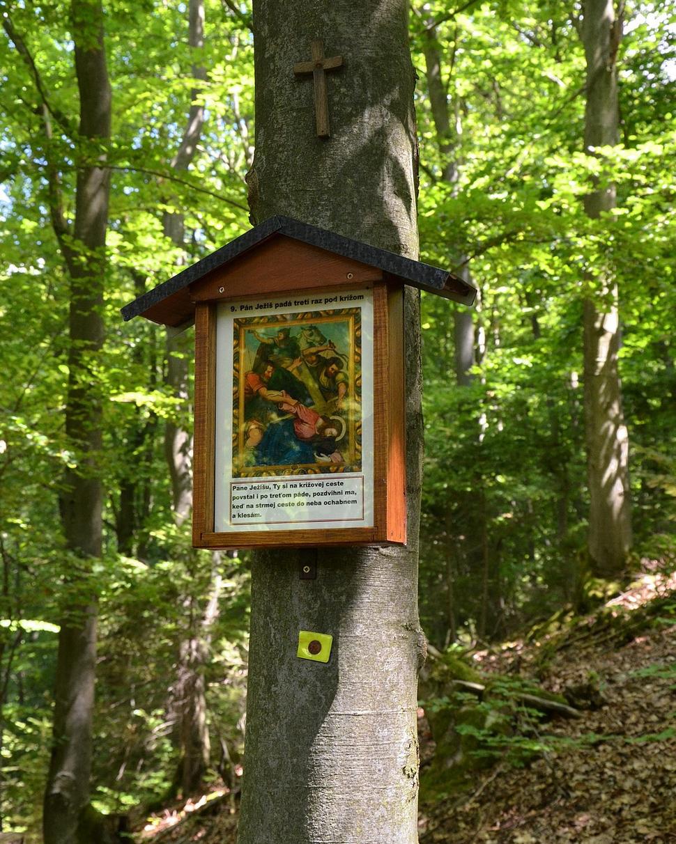 Obrázok blogu