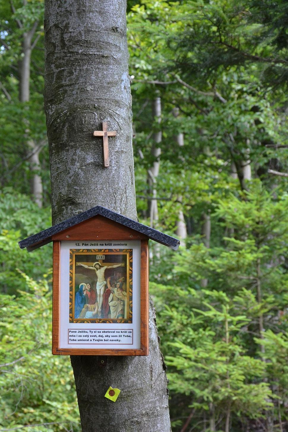 Obrázok blogu