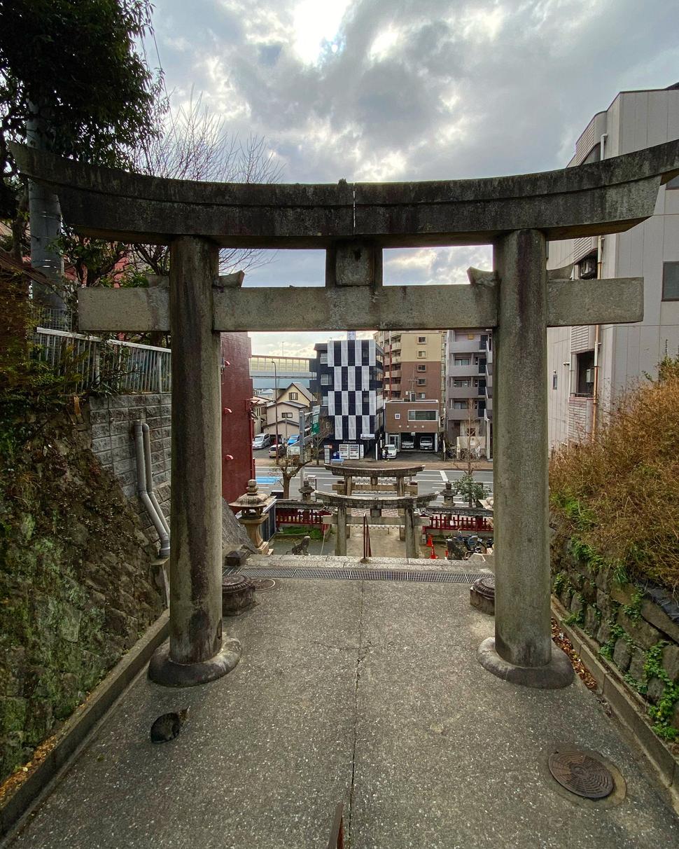 Na ceste k svätyni Atago Otojiro Inari s mačacou eskortou.