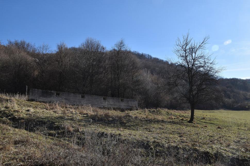 ovčín