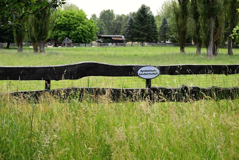 farma patriaca ku komplexu
