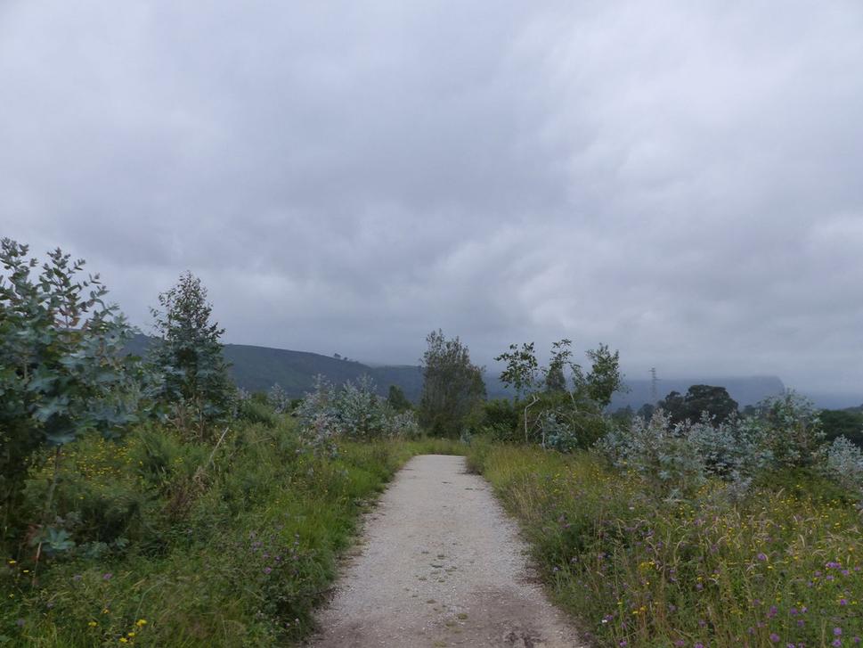 Camino v rozkvitnutej Astúrii.