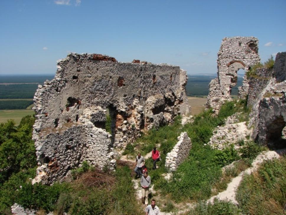 Obrázok blogu