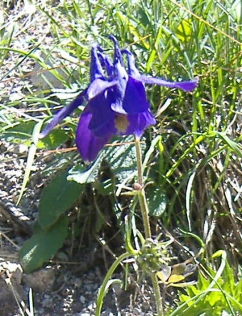 Obrázok blogu