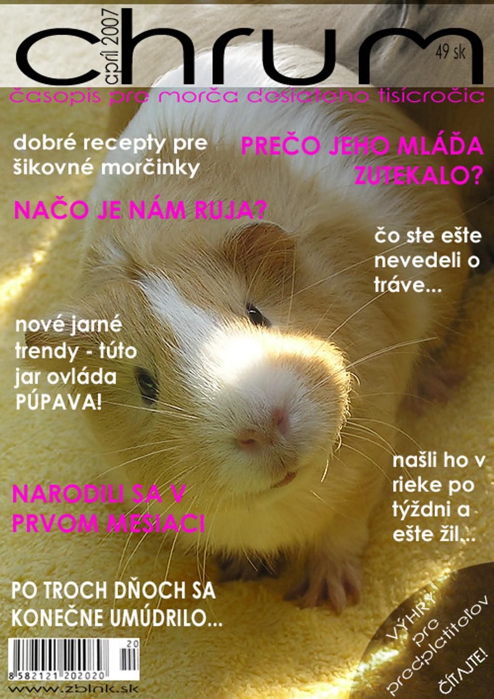Obrázok blogu