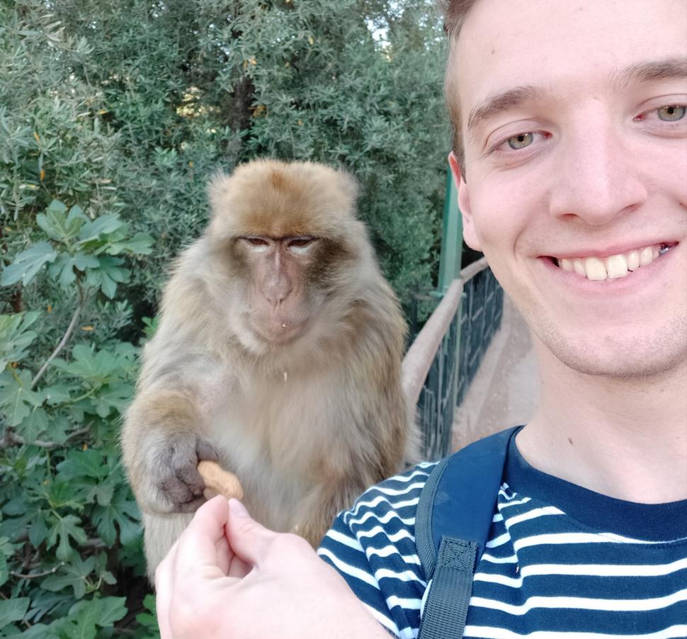 Obrázok blogu