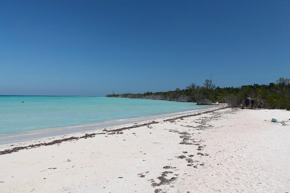 Cayo Jutías