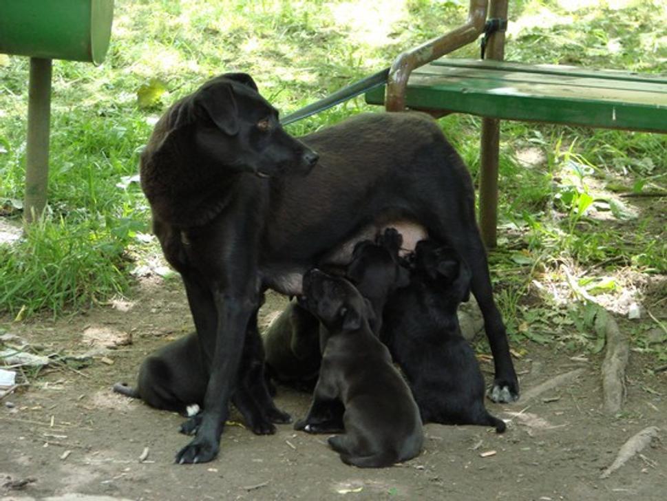 Obrázok blogu