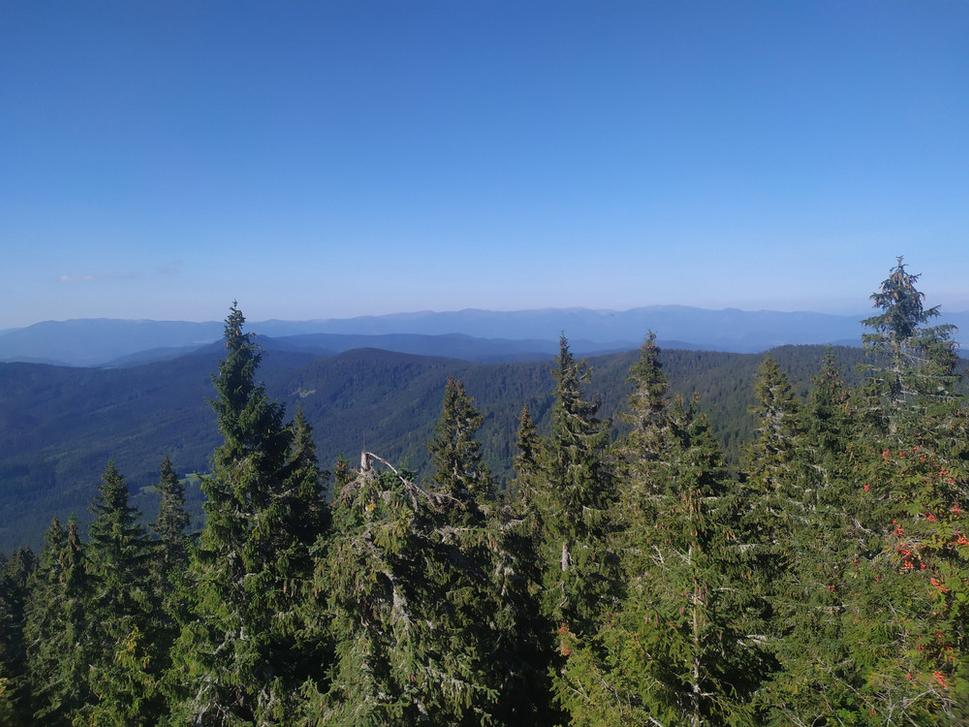 Výhľad z pohoria Poľana smerom na Nízke Tatry.