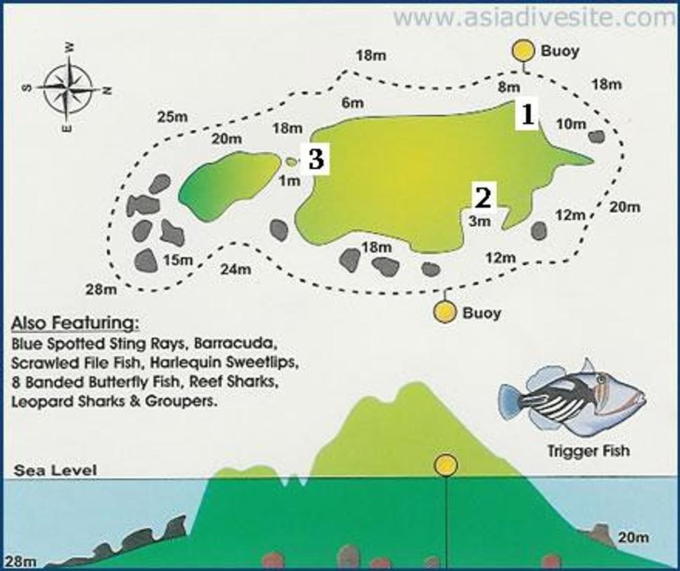 Mapa Shark Island