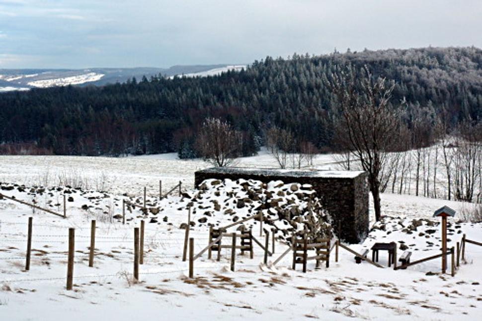 Obrázok blogu