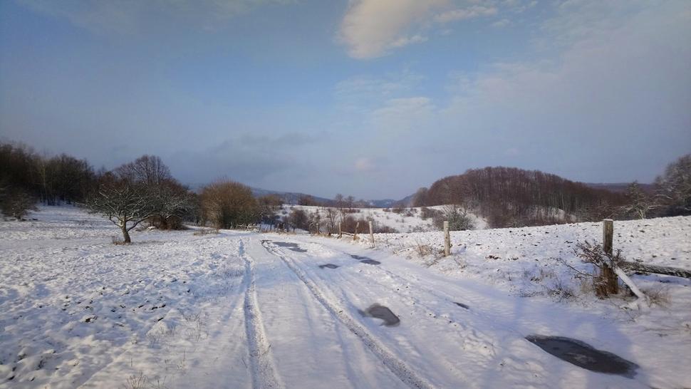 Planina