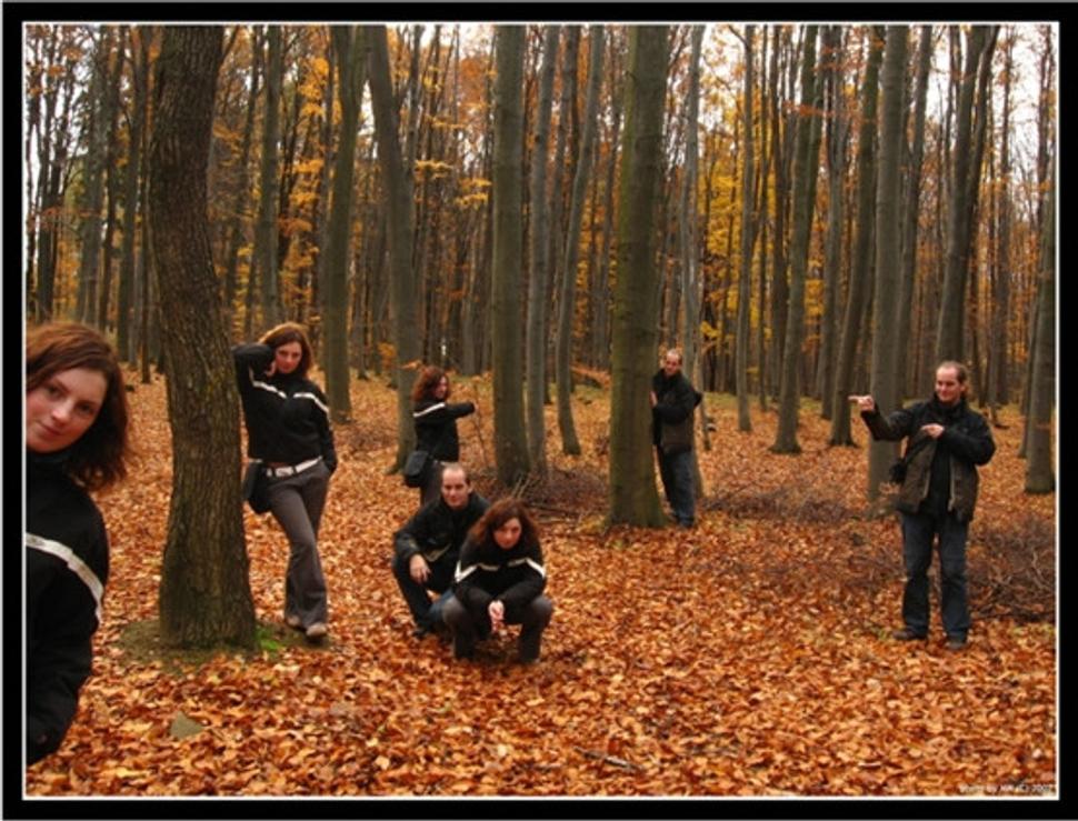 Výsledná koláž