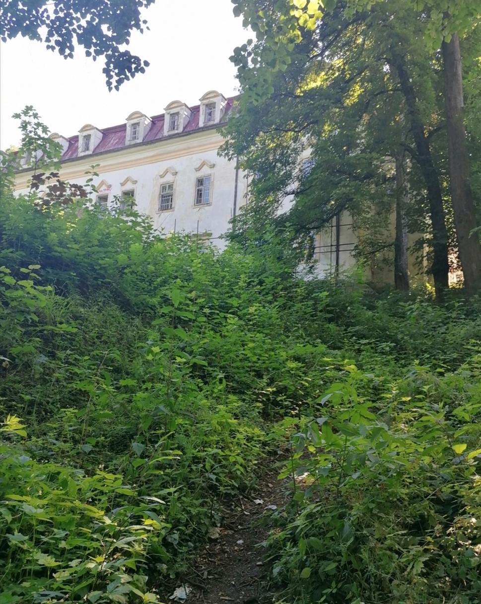 Obrázok blogu