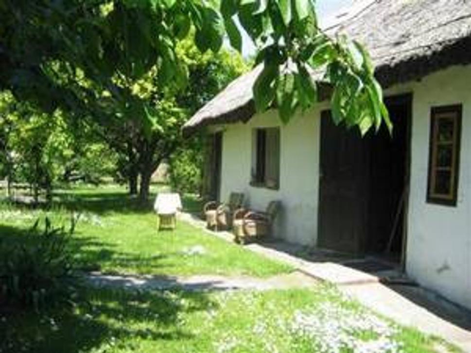 Obrázok blogu