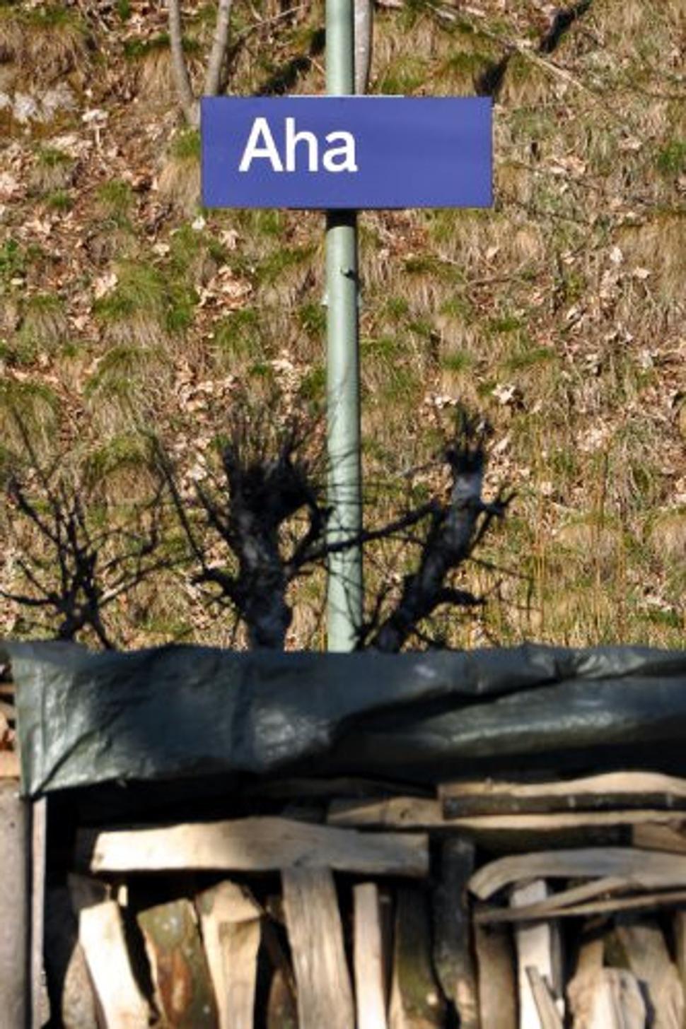 Obrázok blogu