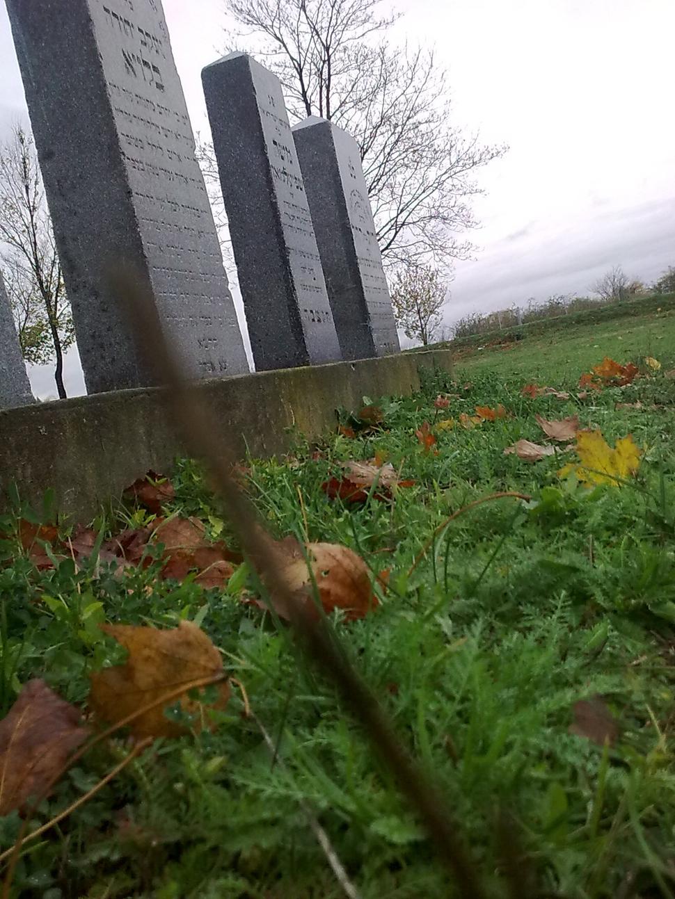 Obrázok blogu