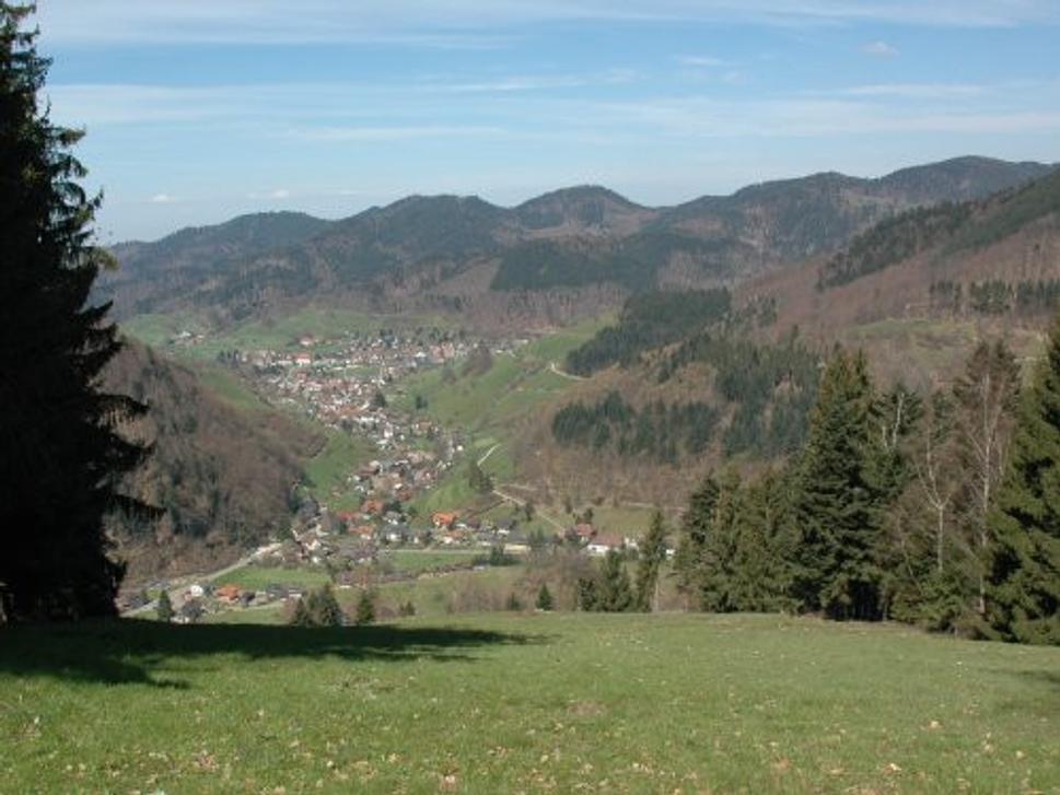 Obrázok blogu