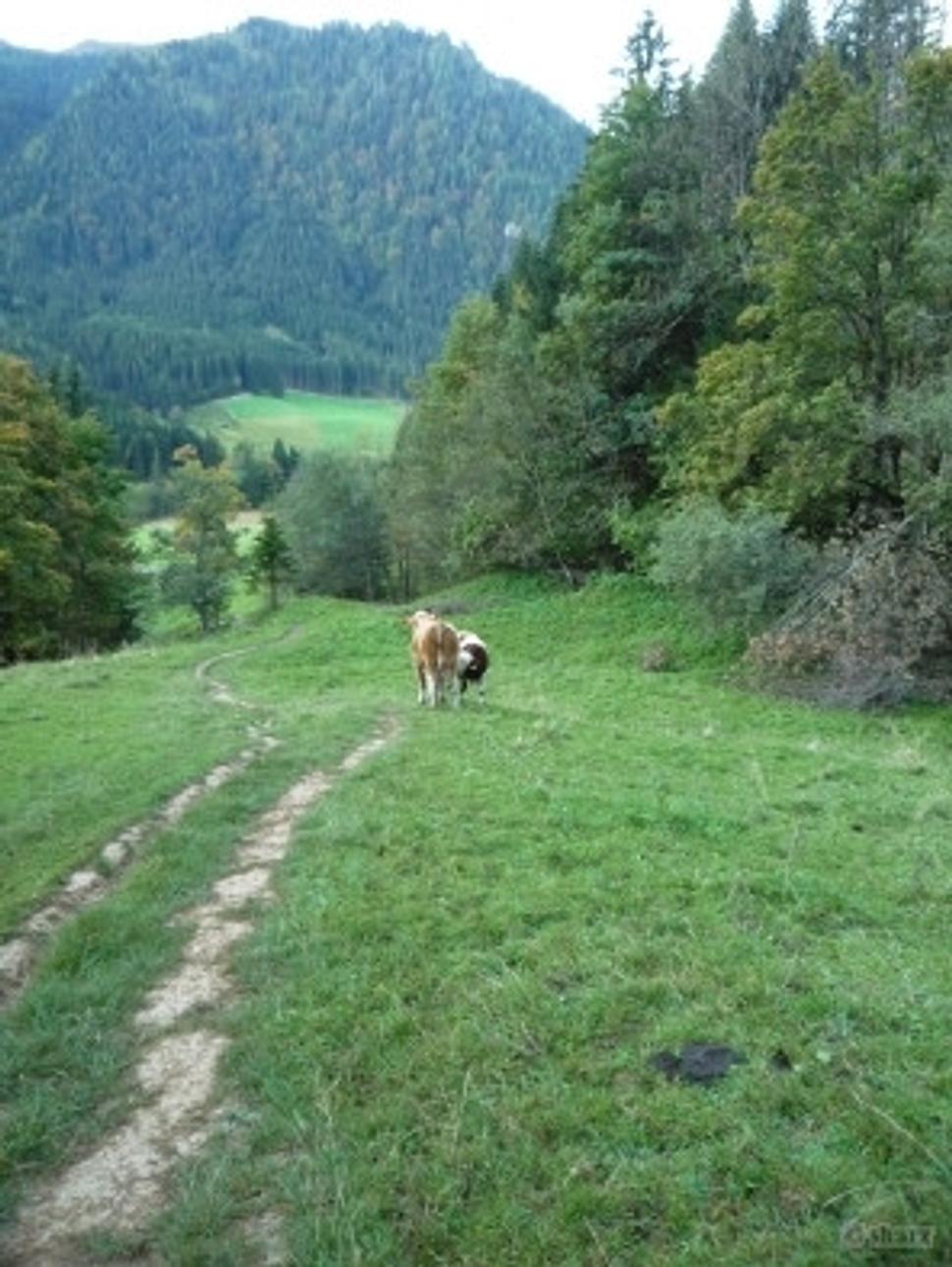 Obrázok blogu