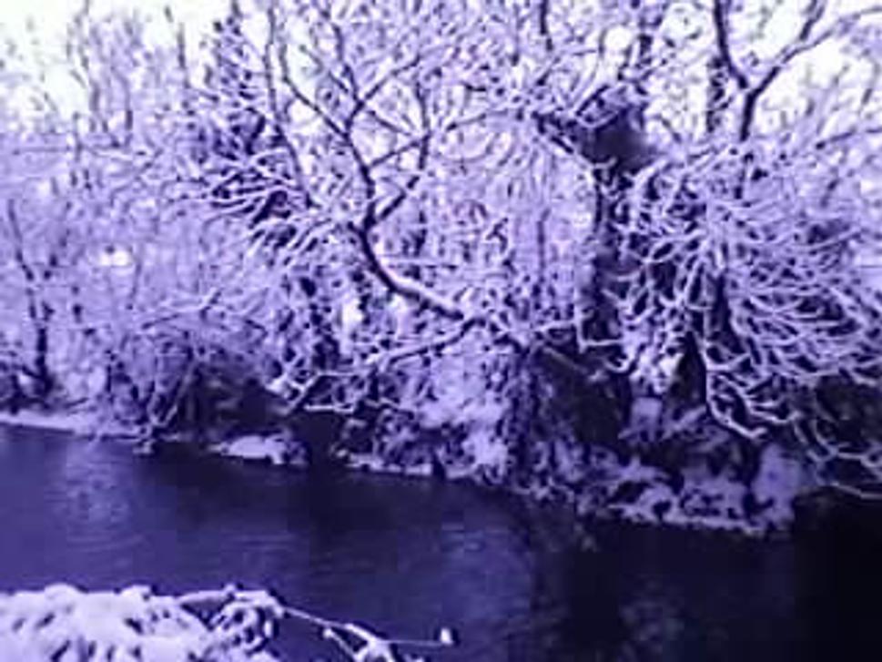Rieka1