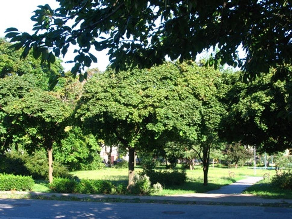 Obrázok blogu