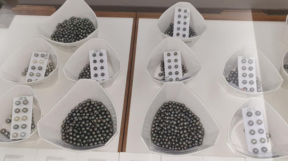 Čierne perly v obchode Tahiti Pearl Market. Každá miska obsahuje perly jednej veľkosti, kvality povrchu a tvaru. Autor: Ľubor Šešera, licencia: CC BY-SA 4.0.