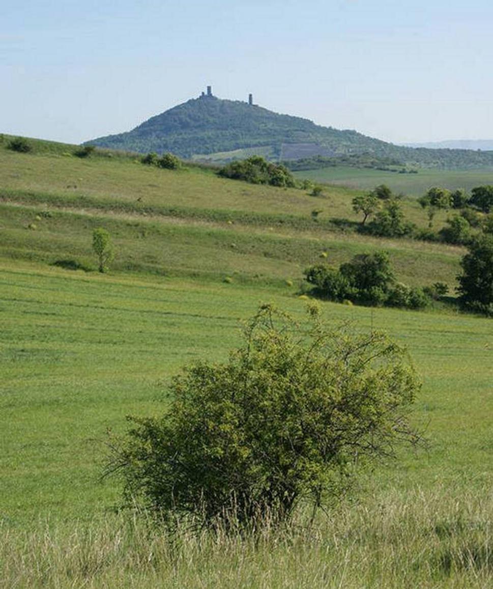 Hazmburk (Klapý). Terasy na zdejších kopcích jsou po někdejších sadech a možná i vinicích