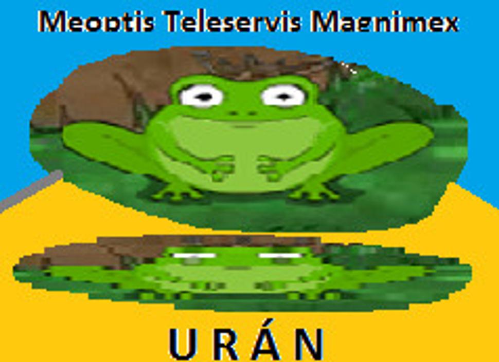 Obrázok blogu