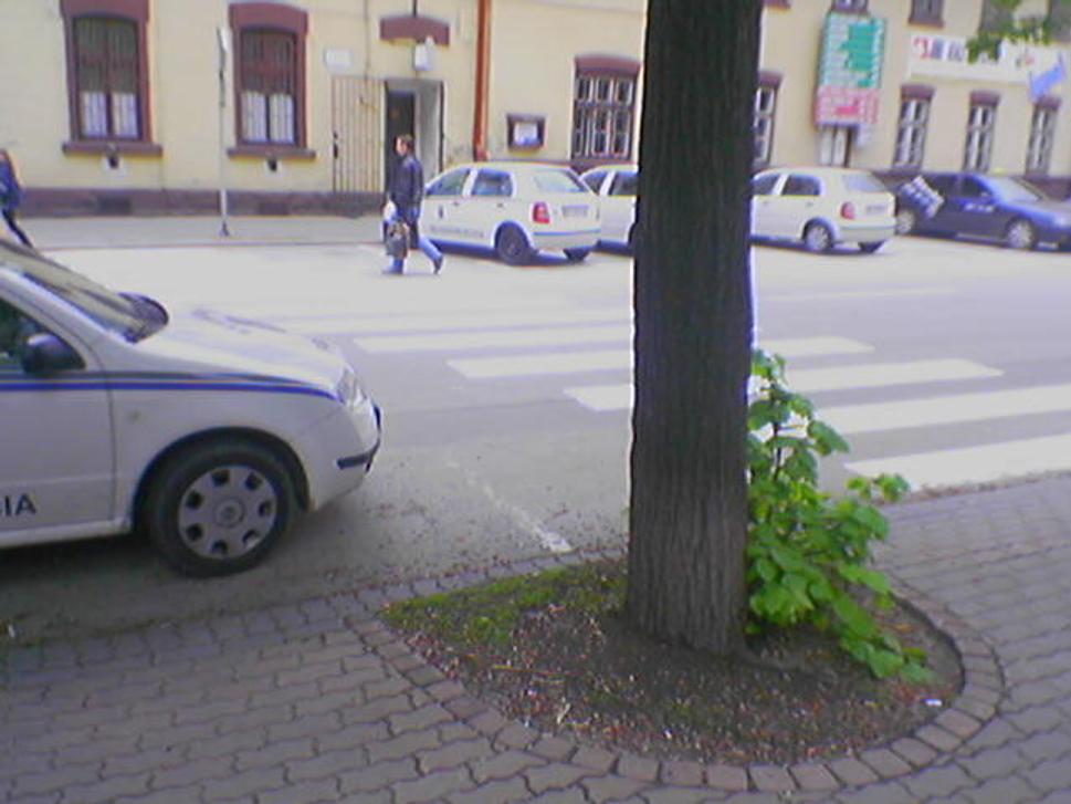 Obrázok blogu