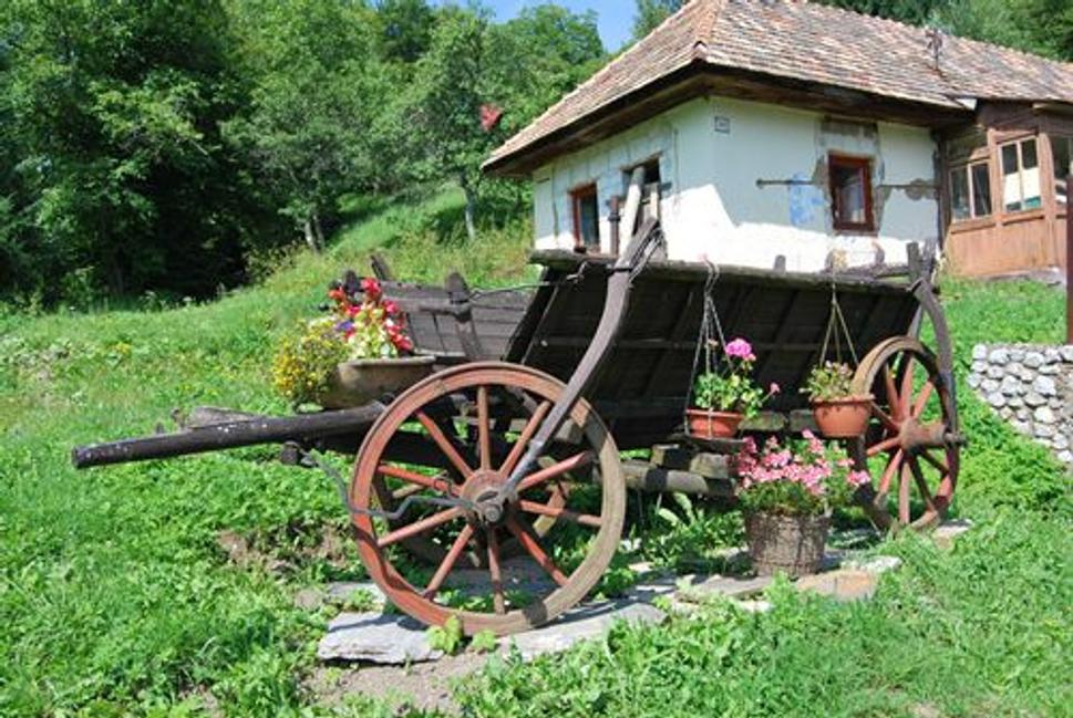 Obrázok blogu