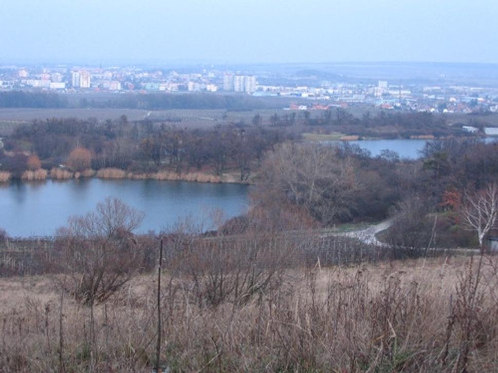 Obrázok blogu