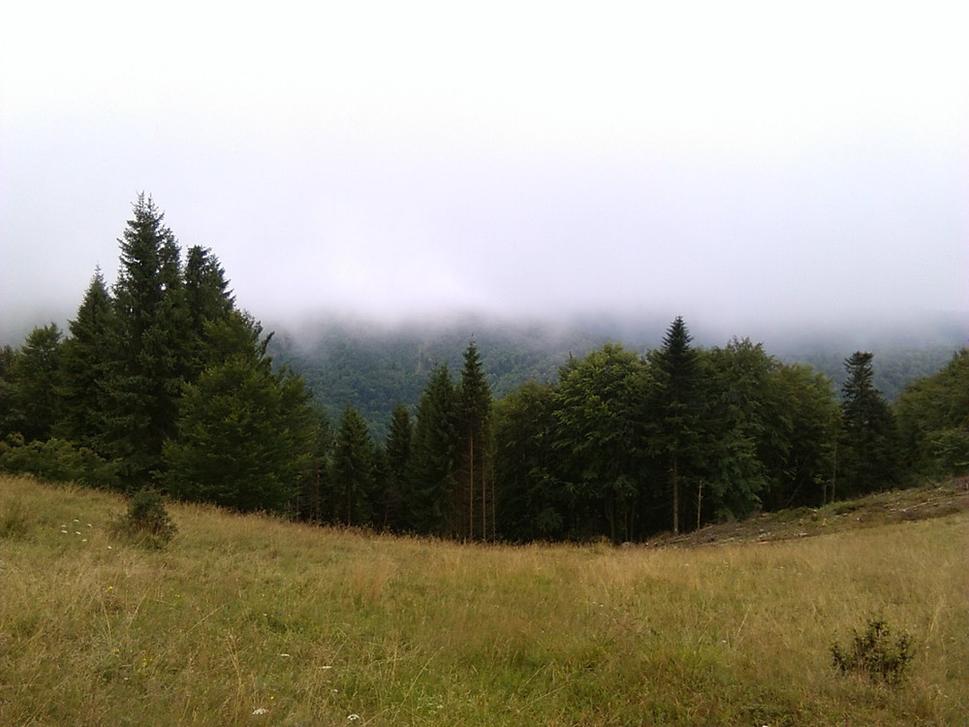 Čergovská divočina v mrakoch