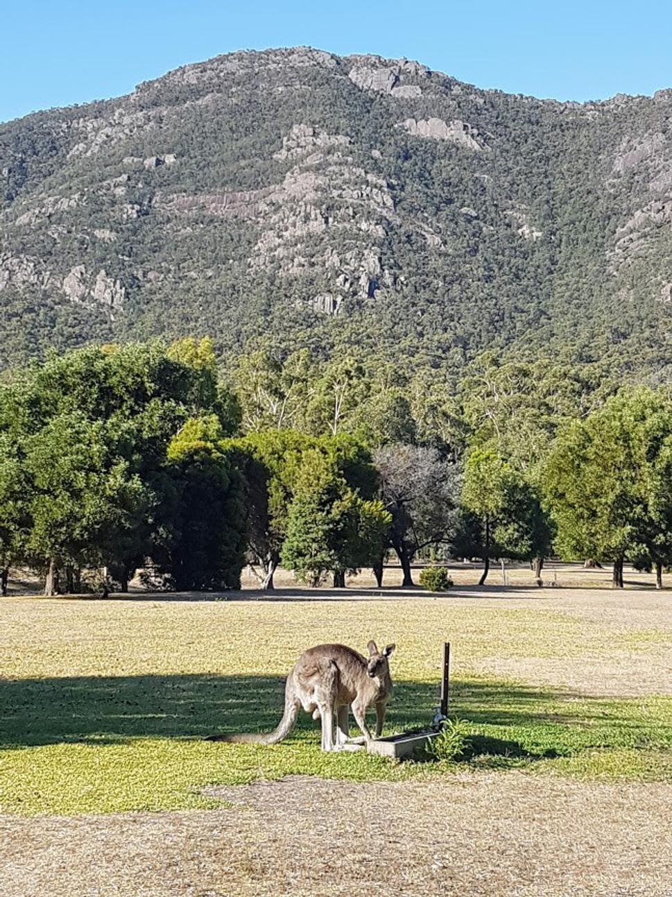 Grampions National Park