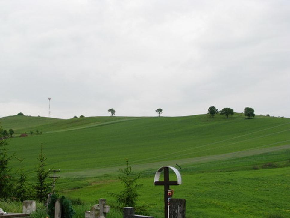 Obrázok blogu