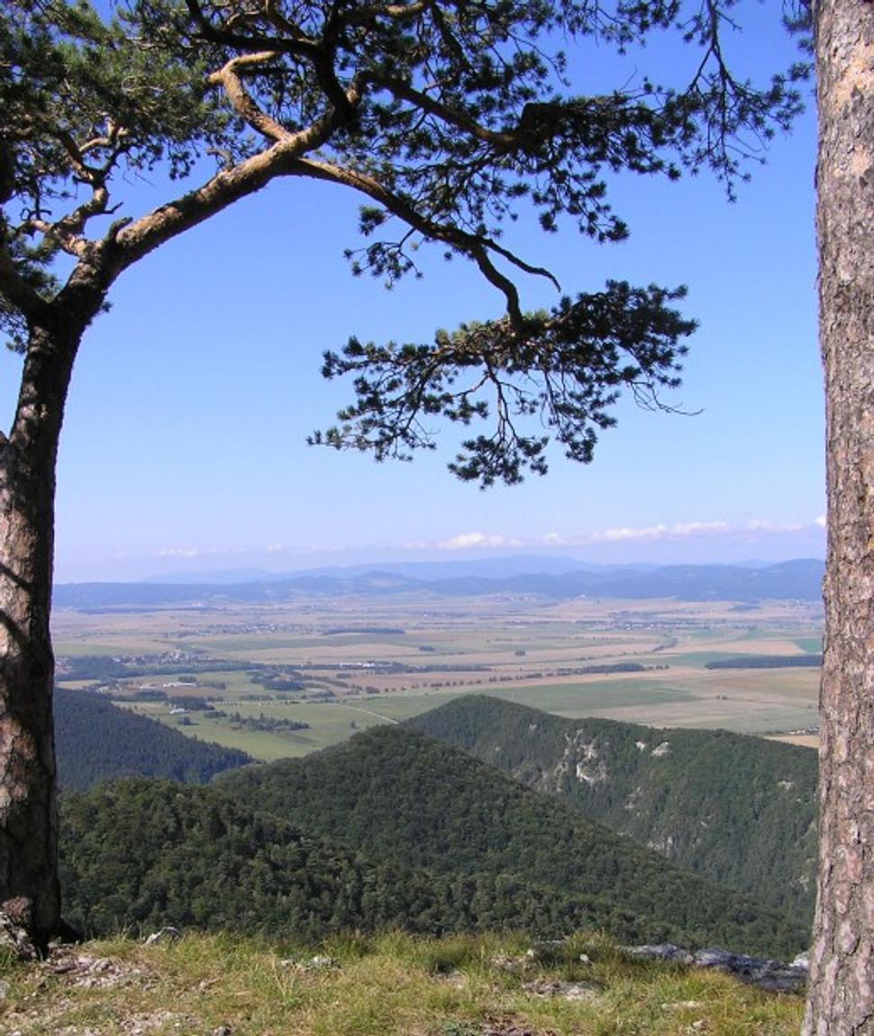 Obrázok blogu