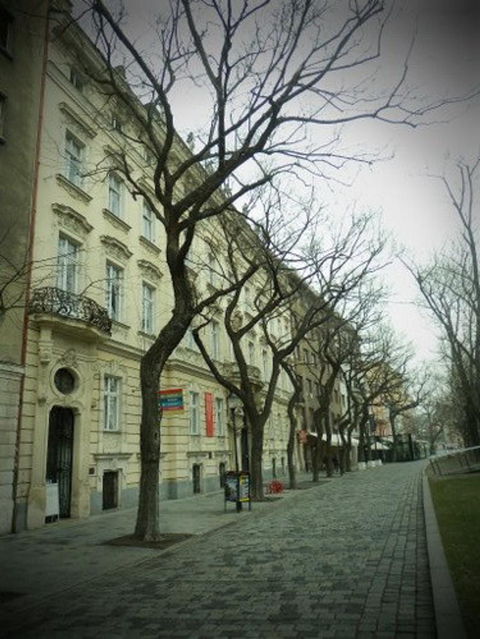 Obrázok blogu