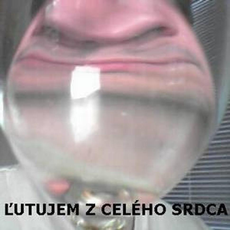 prepáčte, sorry for Fico