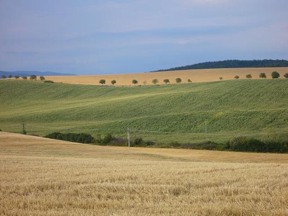 Obrázok blogu
