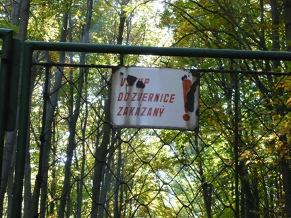Obrázok blogu