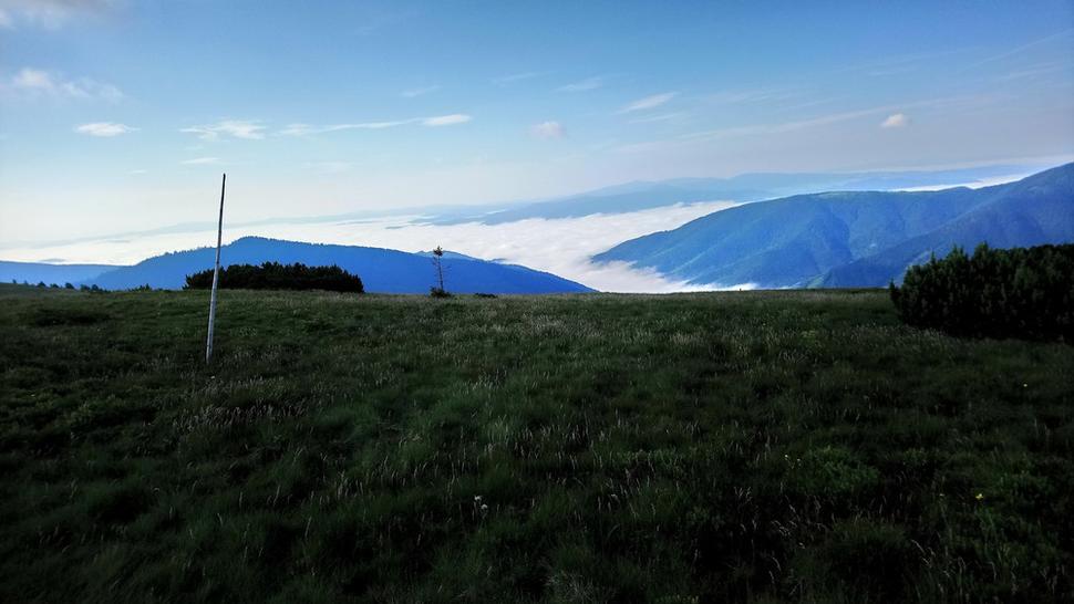Dolina plná mlieka
