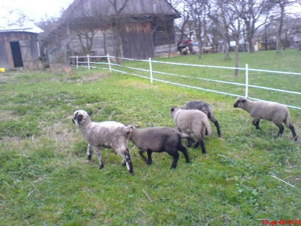 Obrázok blogu
