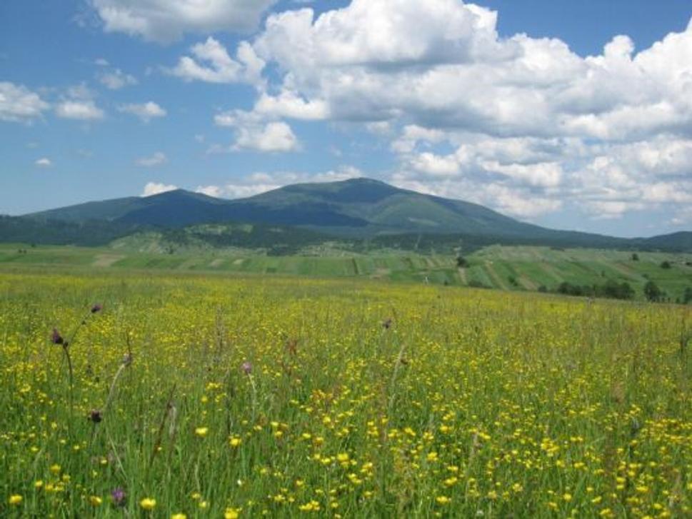 Babia hora.