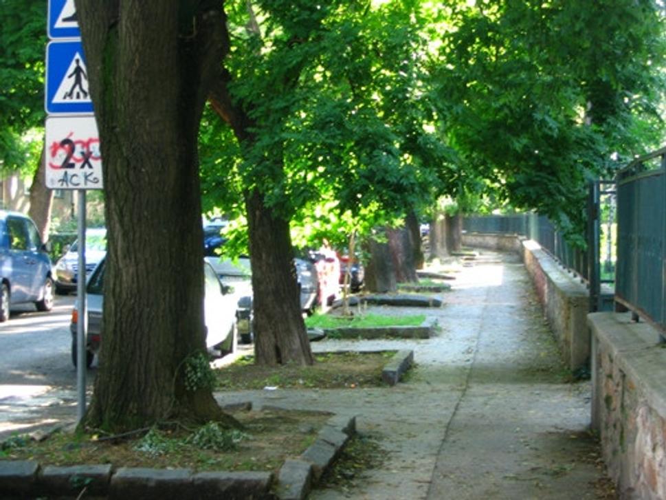 Obrázok blogu