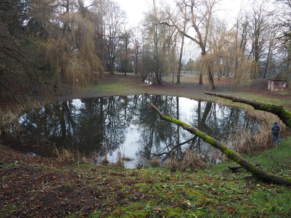 Obrázok blogu