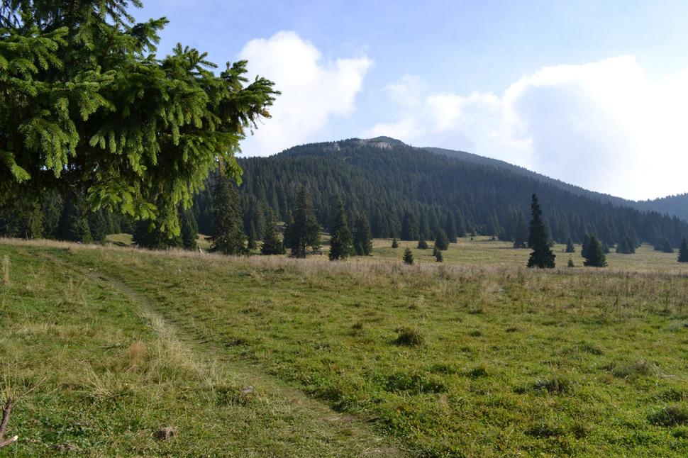 Na Strednej poľane.V pozadí už stúpanie na Veľký Choč.