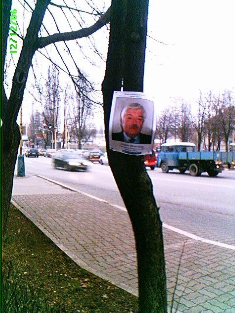 Obrázok blogu