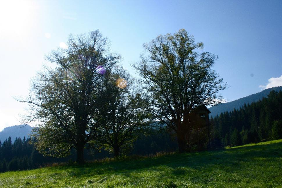 Tajomné miesto, kde pradávno stál majer, ktorý vyhorel.