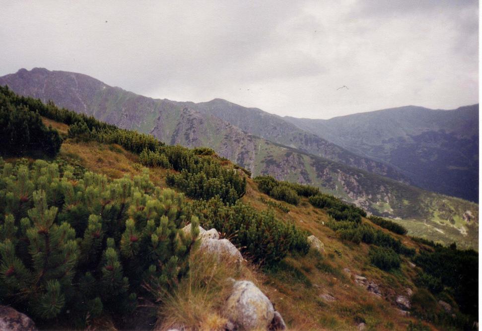 Obrázok blogu