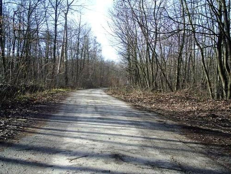 Obrázok blogu